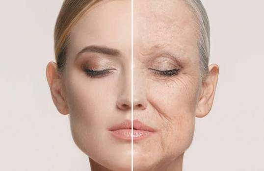 Anti-Ageing Treatments